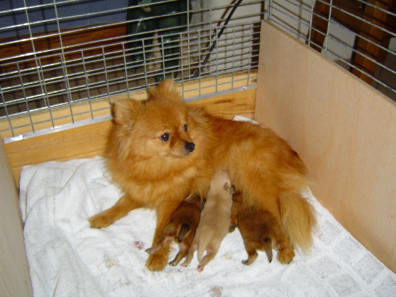 Une pin up de Cat'Pat