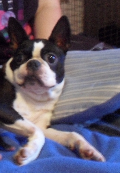 Cleveland de Cat'Pat