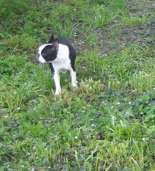 La dame du lac de Cat'Pat